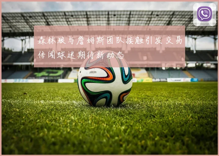 森林狼与詹姆斯团队接触引发交易传闻球迷期待新动态